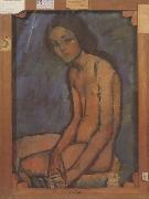 Amedeo Modigliani Nu assis (mk39) china oil painting reproduction